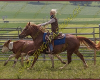 2NODS 0772